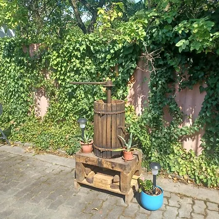 Eva Apartmanhaz Guest house Eger